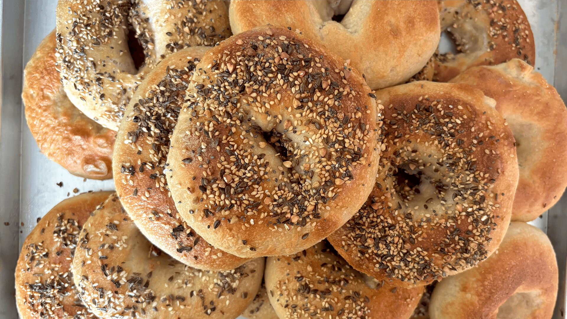 Bagel in Stile New York