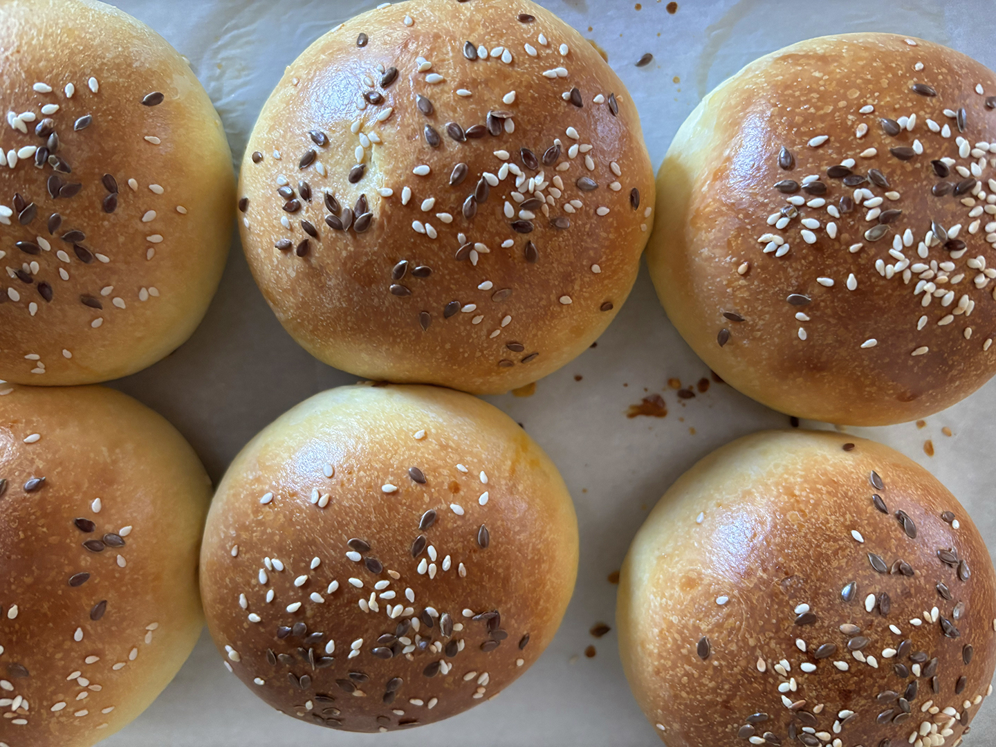Bun Brioche per Hamburger